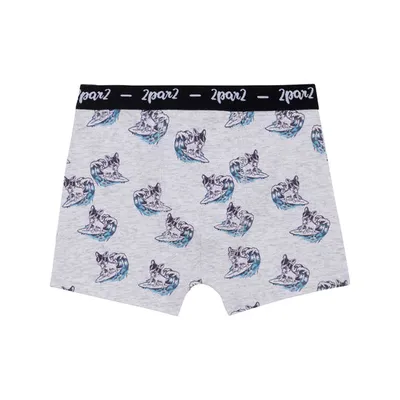 Printed Boxer, AOP Surf Dog