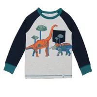 Organic Cotton Two Piece Pajama Set With Dinosaur Print