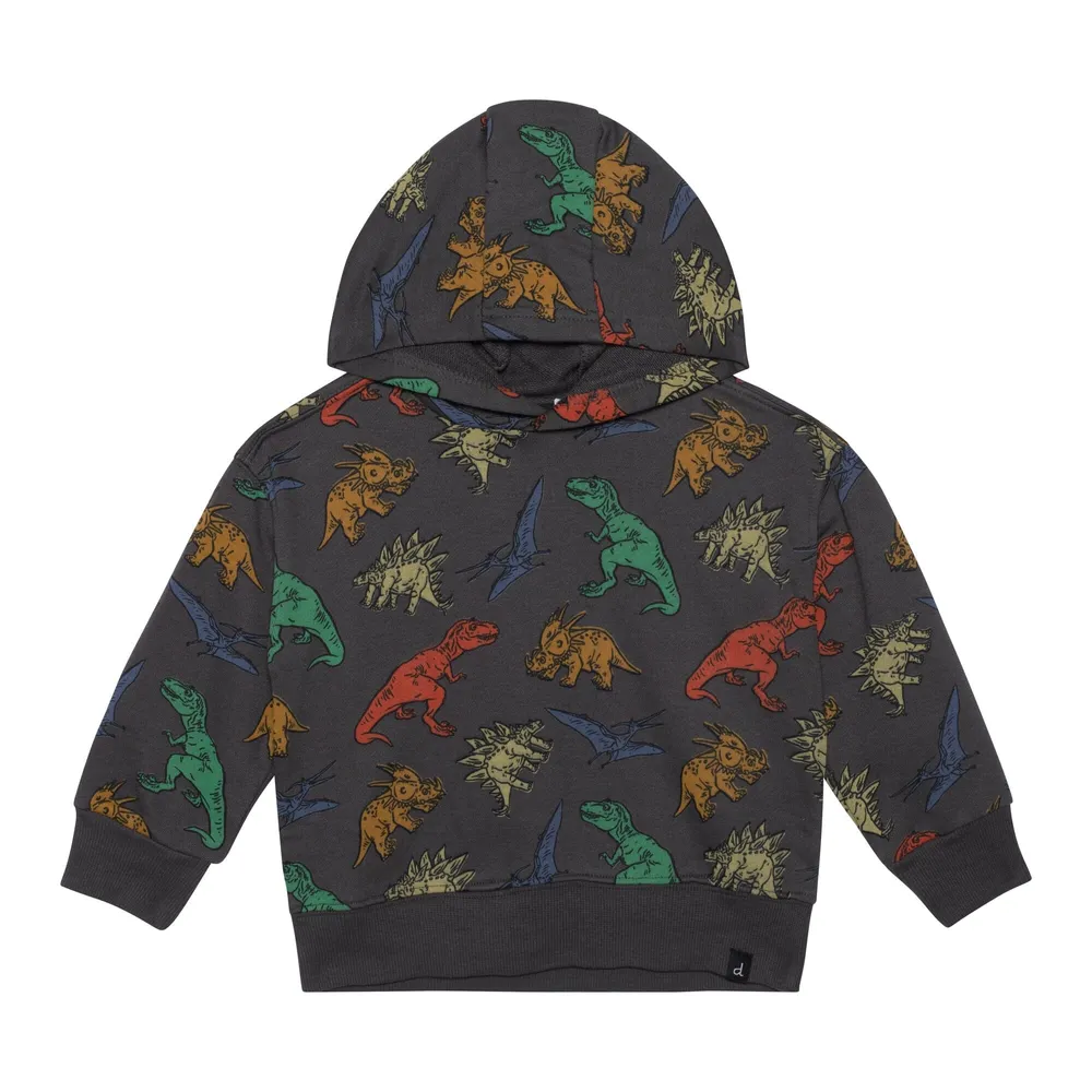 Printed French Terry Top With Hood Charcoal Grey Multicolor Dinosaurs