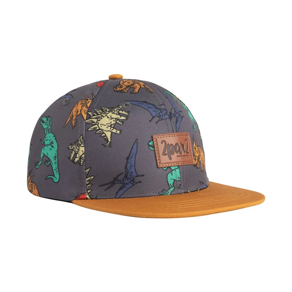 Printed Cap Charcoal Grey Multicolor Dinosaurs