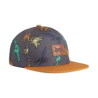 Printed Cap Charcoal Grey Multicolor Dinosaurs