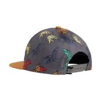 Printed Cap Charcoal Grey Multicolor Dinosaurs