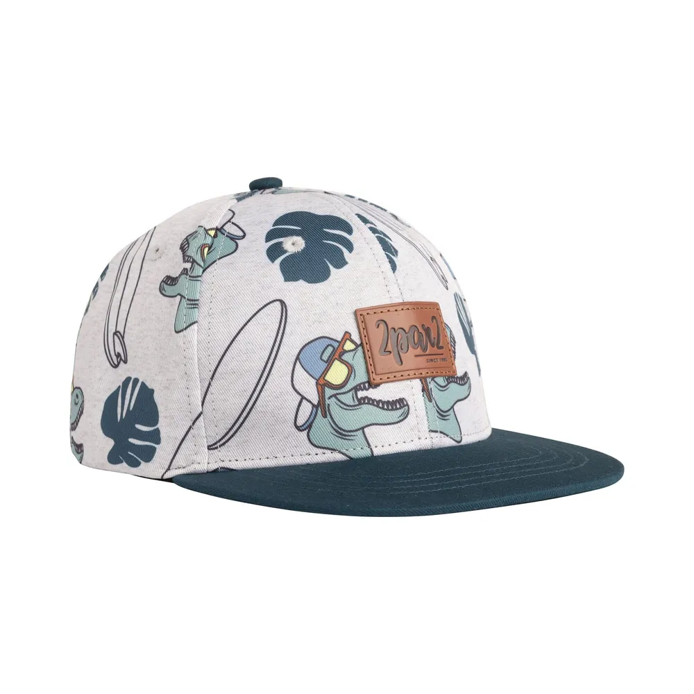 Printed Cap Light Heather Grey & Teal Dinosaurs