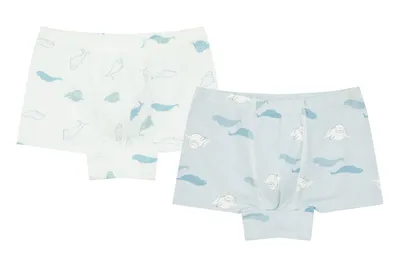 Bamboo Boys Boxer Briefs Underwear (2 Pack) - Belugas