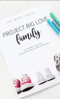 PROJECT BIG LOVE