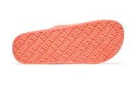 CAPRI Coral slides