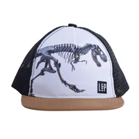 Mesh Cap - Fit Simplistic [Dino Series]