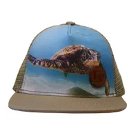 Snapback cap (Turtle)