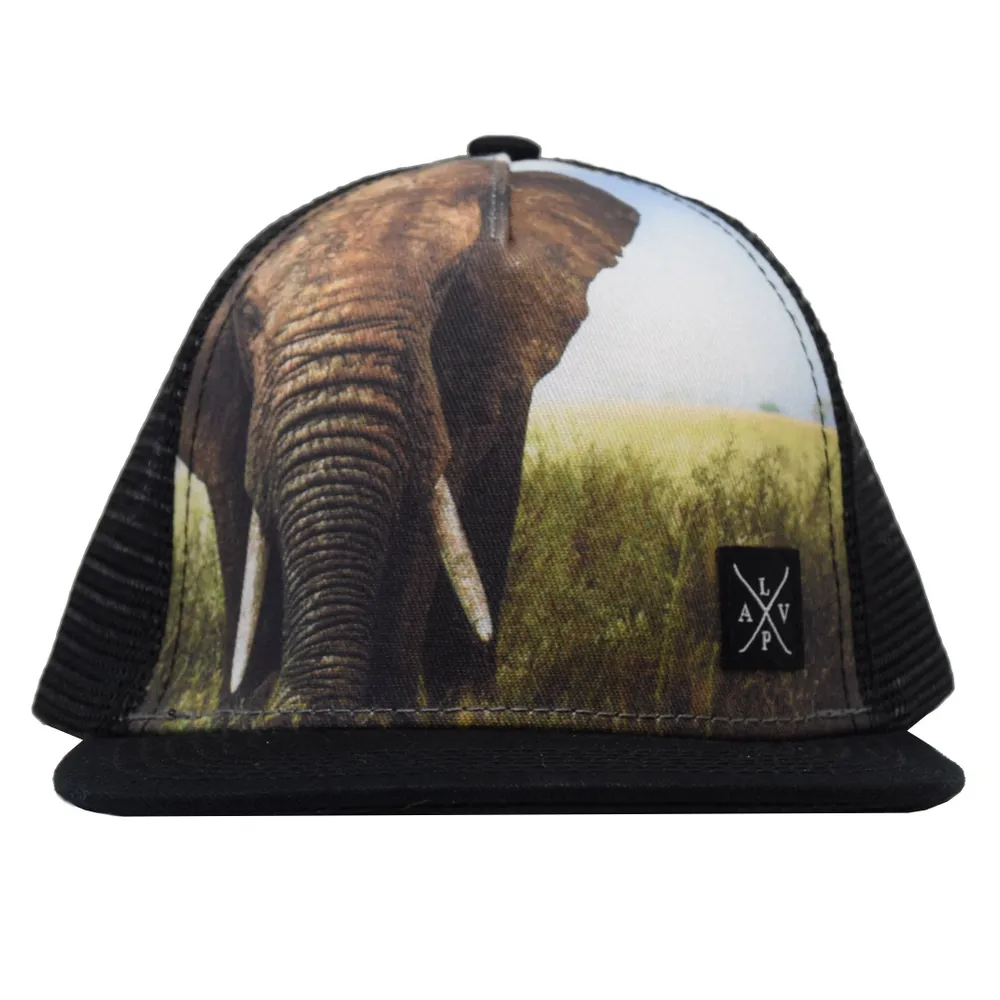 Snapback cap (Elephant)