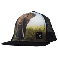 Snapback cap (Elephant)
