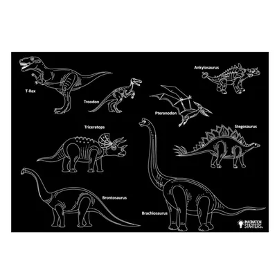 Chalkboard Dinosaur Placemat