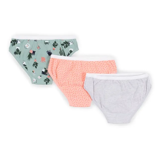 3-Pack of Lace Cheeky Panties