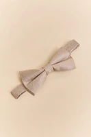 Noeud papillon de soie