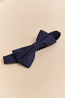 Noeud papillon de soie