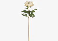 Jayde Peony Stem Ivory