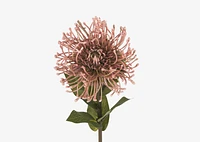 Jada Leucosper Mum Stem Pink