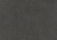 Ortega Counter Stool -Lakeshore Grey