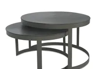 Irwin Nesting Coffee Table Set -Graphite