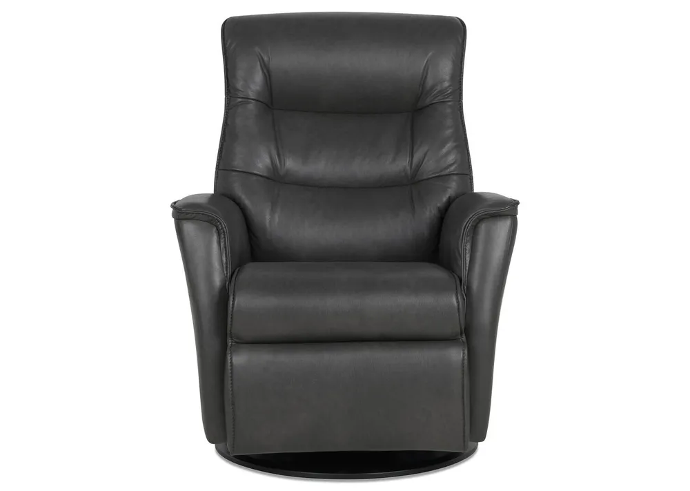 Paramount Leather Recliner -Sol Slate