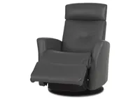 Drake Leather Recliner -Tre Graphite