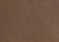 Carson Leather Sofa -Wes Rum