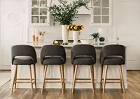 Jerusha Counter Stool -Elte Charcoal