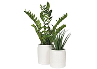 Levy Planter Small