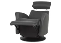 Drake Leather Recliner -Tre Graphite