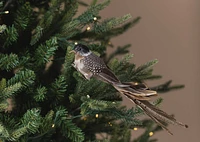 Dedra Bird Ornament