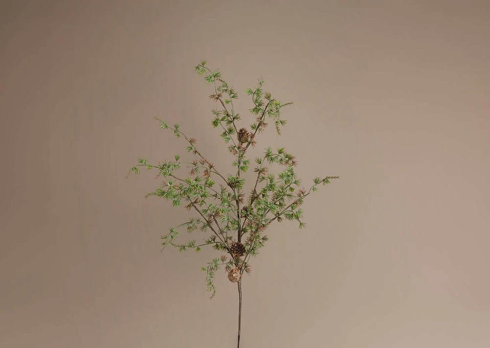 Sapling Pine Spray Branch