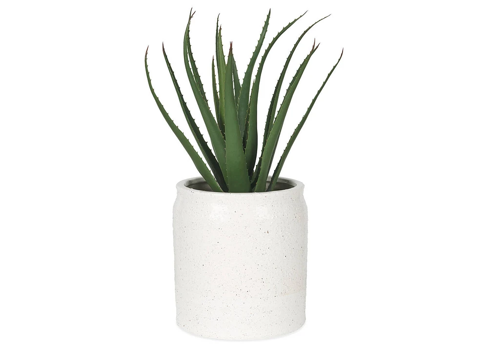 Levy Planter Small