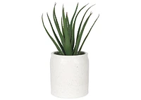 Levy Planter Small