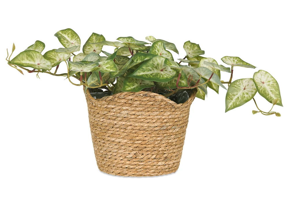 Diani Woven Planter Small
