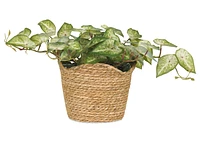 Diani Woven Planter Small