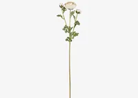 Helene Ranunculus Branch Ivory