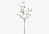 Gail Prunus Branch