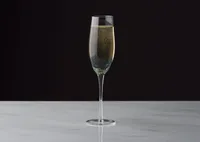 Lively Champagne Flute Teal