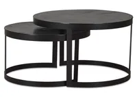 Irwin Nesting Coffee Table Set -Bronze
