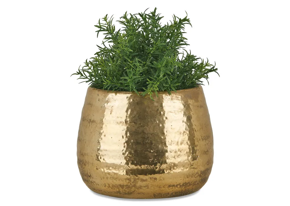 Rikki Planter