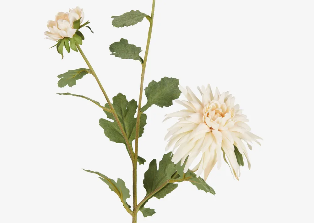 Jill Chrysanthemum Branch Ivory