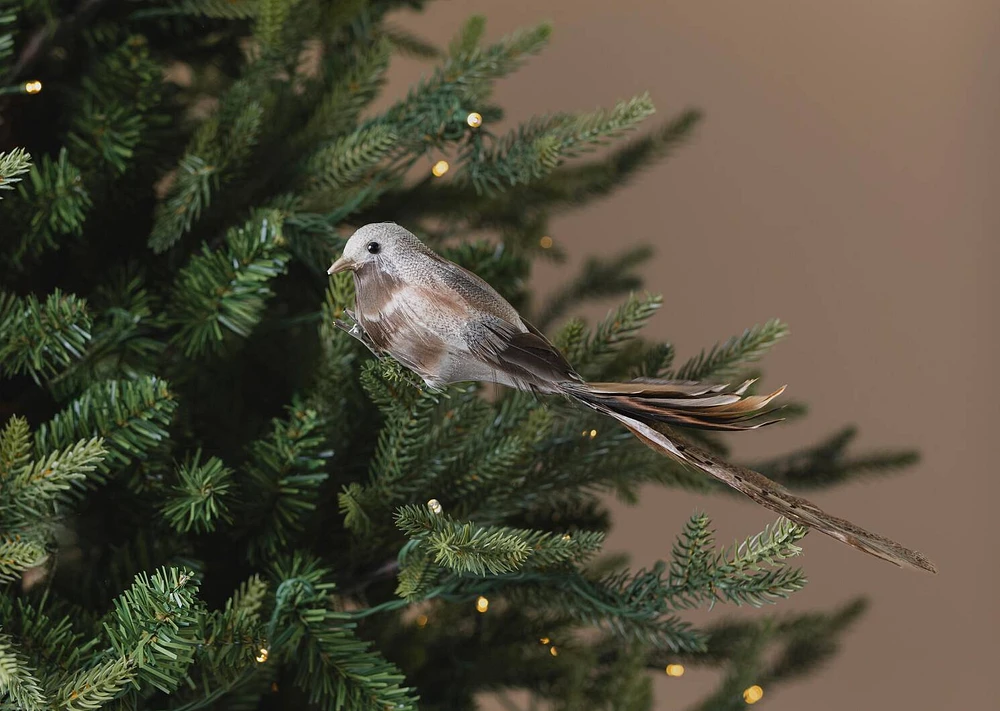 Darci Bird Ornament