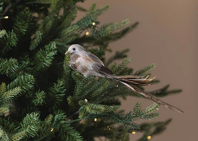 Darci Bird Ornament