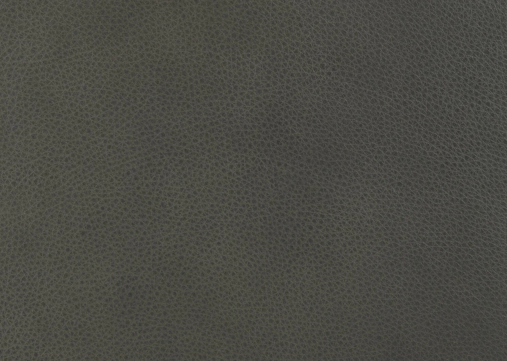 Esmae Leather Dining Chair -Reede Charco