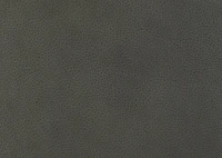 Esmae Leather Dining Chair -Reede Charco