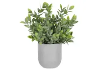 Lidia Jasmine Plant Potted