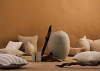 Bellamy Cotton Pillow 20x20 Ash