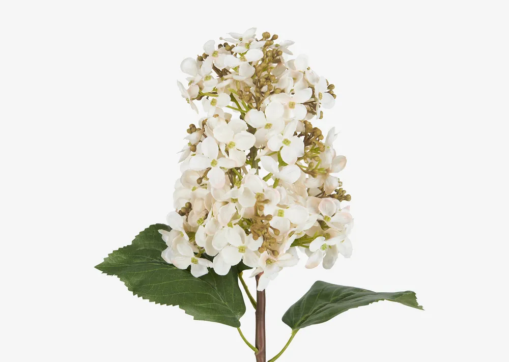 Beth Cone Hydrangea Stem White