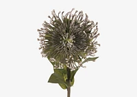 Jada Leucosper Mum Stem Purple