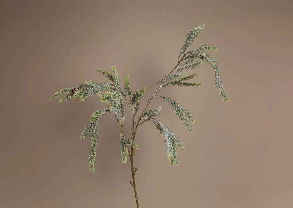 Icy Pine Branch