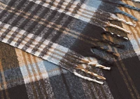 Remi Plaid Throw Multi